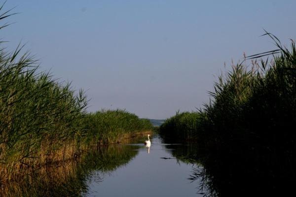 Harol Home & Bike Fertőrákos Dış mekan fotoğraf
